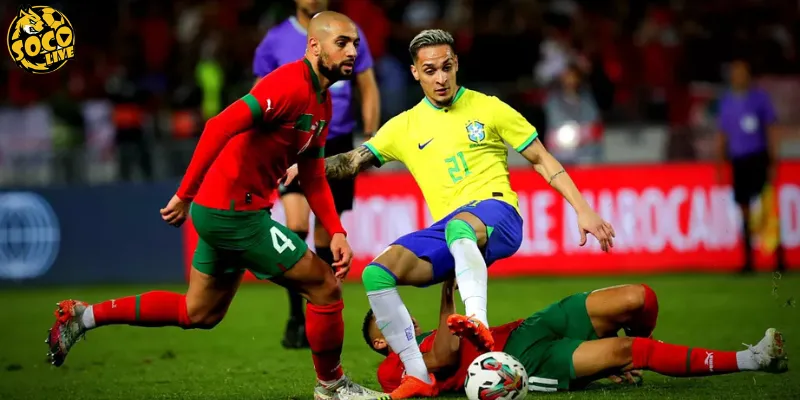 Phong đội hiện tại của Brazil & Marocco